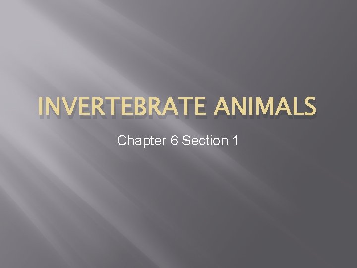 INVERTEBRATE ANIMALS Chapter 6 Section 1 