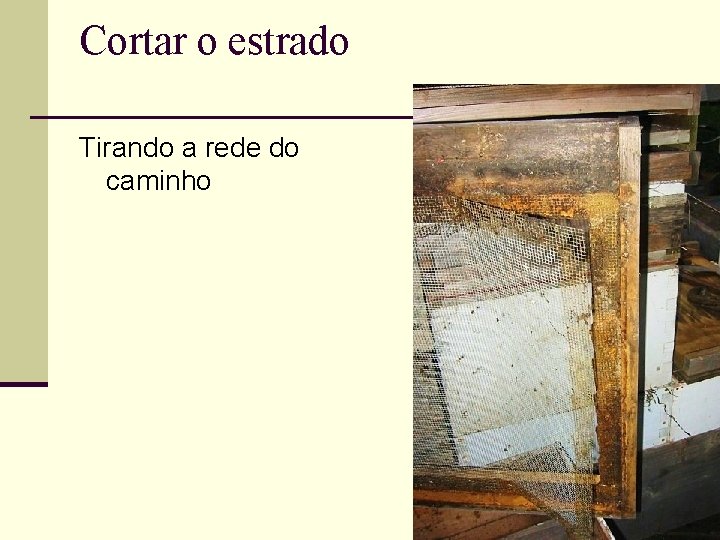 Cortar o estrado Tirando a rede do caminho 