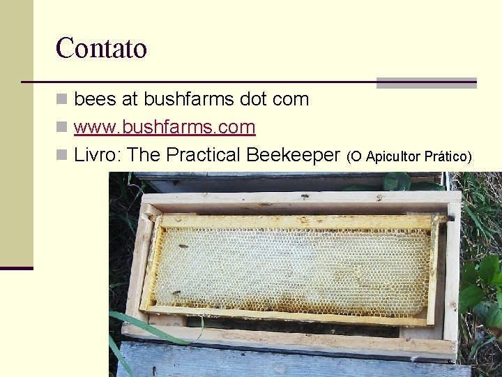 Contato n bees at bushfarms dot com n www. bushfarms. com n Livro: The