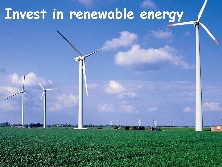 Invest in renewable energy 