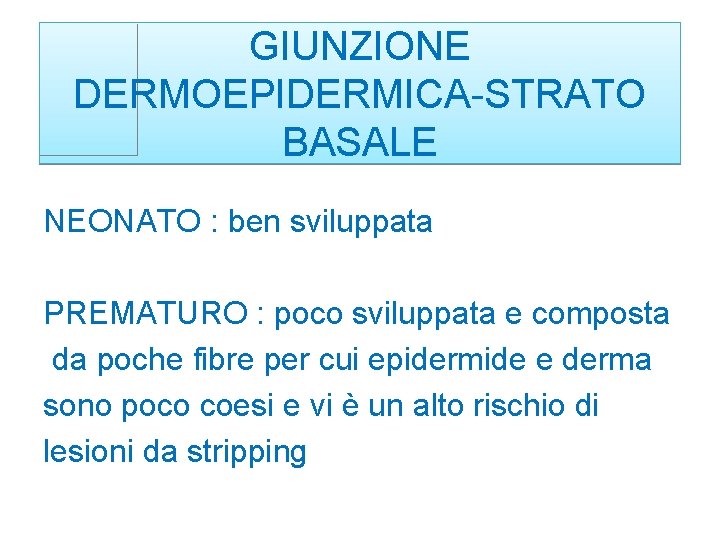 GIUNZIONE DERMOEPIDERMICA-STRATO BASALE NEONATO : ben sviluppata PREMATURO : poco sviluppata e composta da