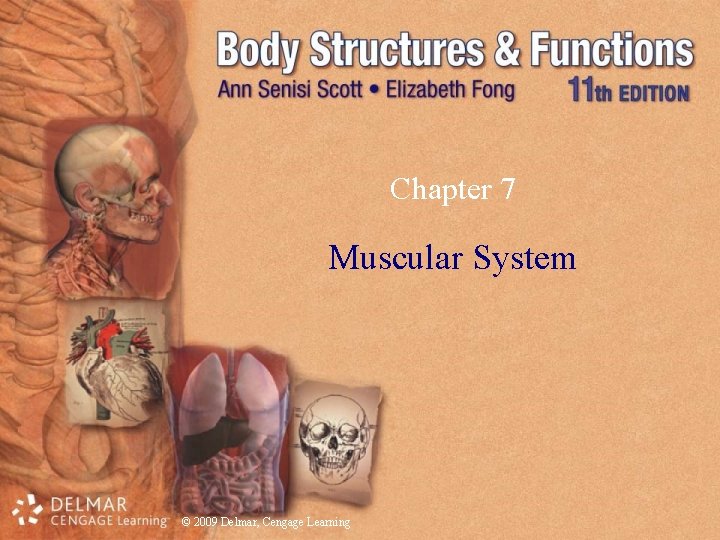 Chapter 7 Muscular System © 2009 Delmar, Cengage Learning 