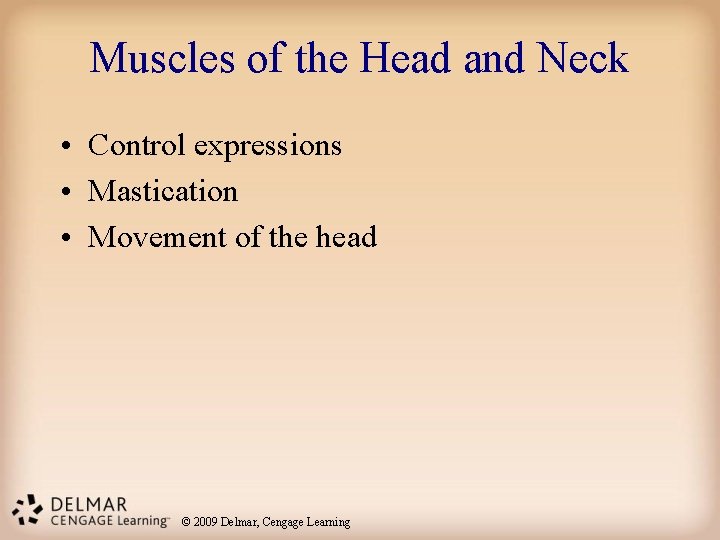 Muscles of the Head and Neck • Control expressions • Mastication • Movement of