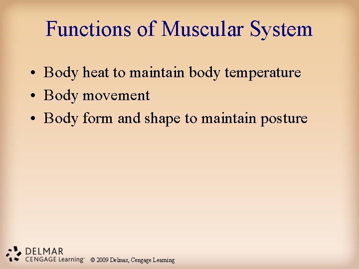 Functions of Muscular System • Body heat to maintain body temperature • Body movement