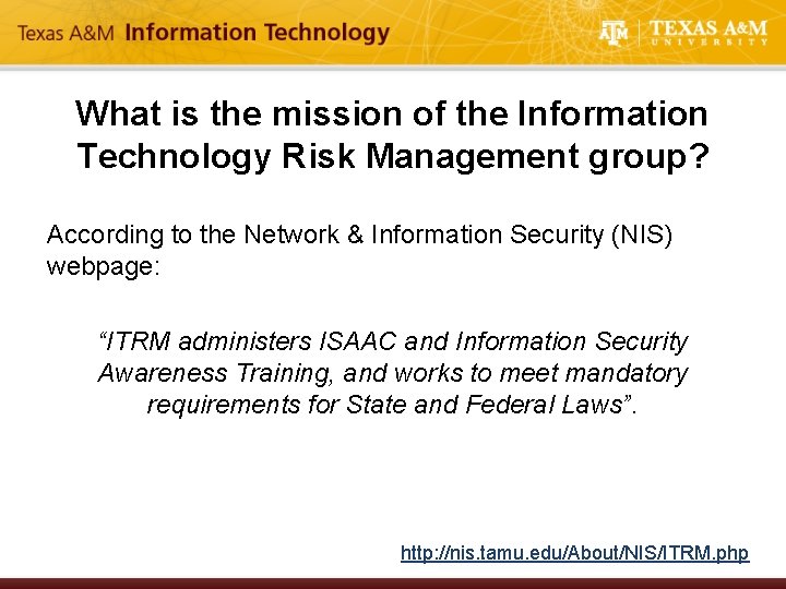 What is the mission of the Information Technology Risk Management group? According to the