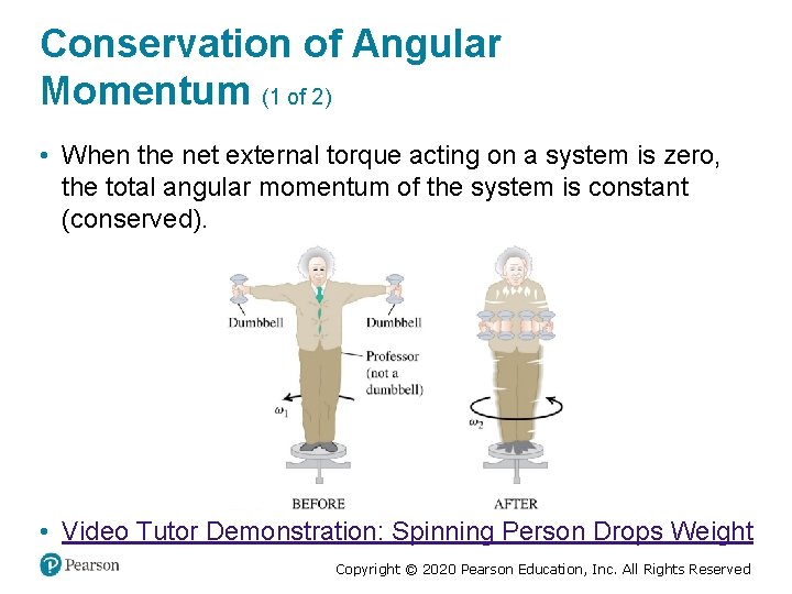Conservation of Angular Momentum (1 of 2) • When the net external torque acting
