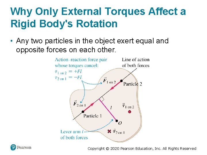 Why Only External Torques Affect a Rigid Body's Rotation • Any two particles in