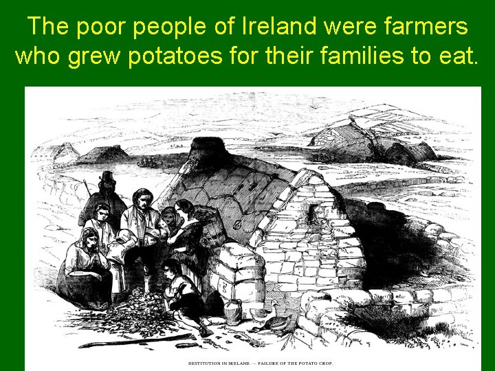 The poor people of Ireland were farmers who grew potatoes for their families to