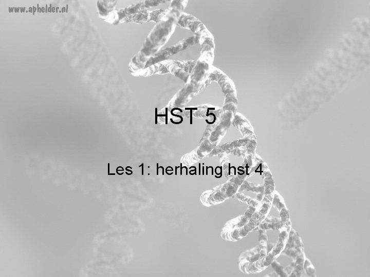 HST 5 Les 1: herhaling hst 4 