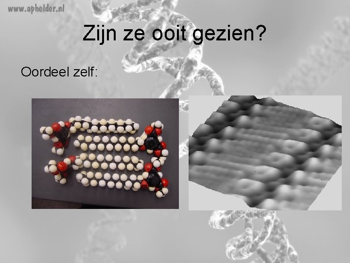 Zijn ze ooit gezien? Oordeel zelf: 