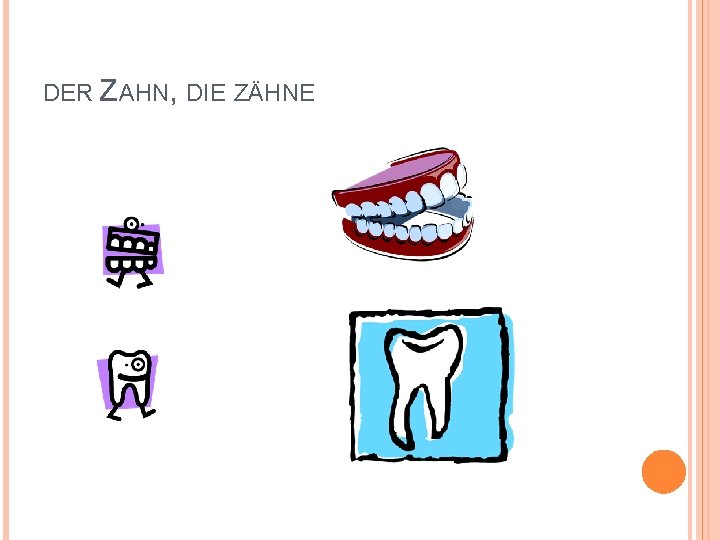 DER ZAHN, DIE ZÄHNE 