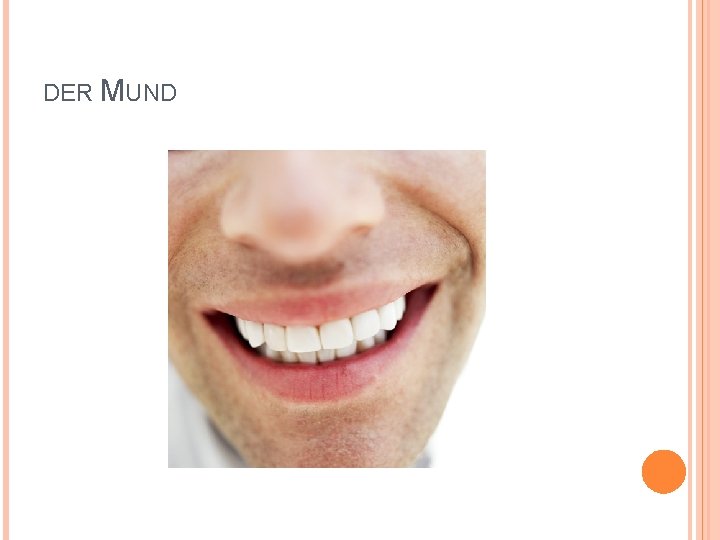 DER MUND 