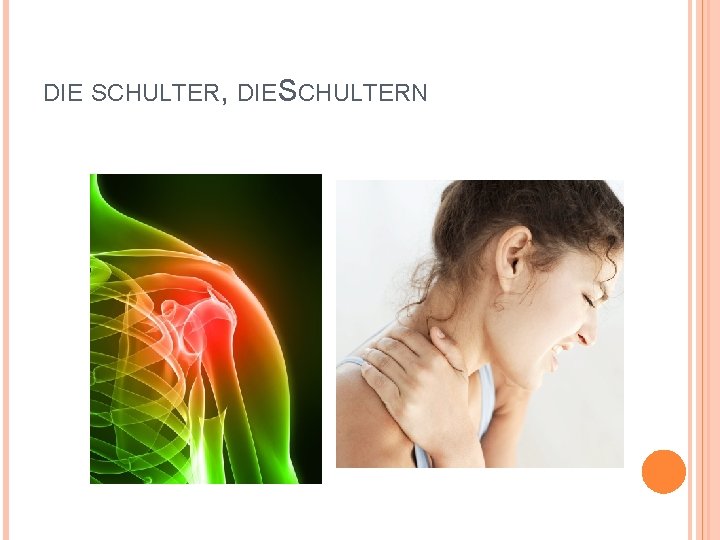 DIE SCHULTER, DIE SCHULTERN 
