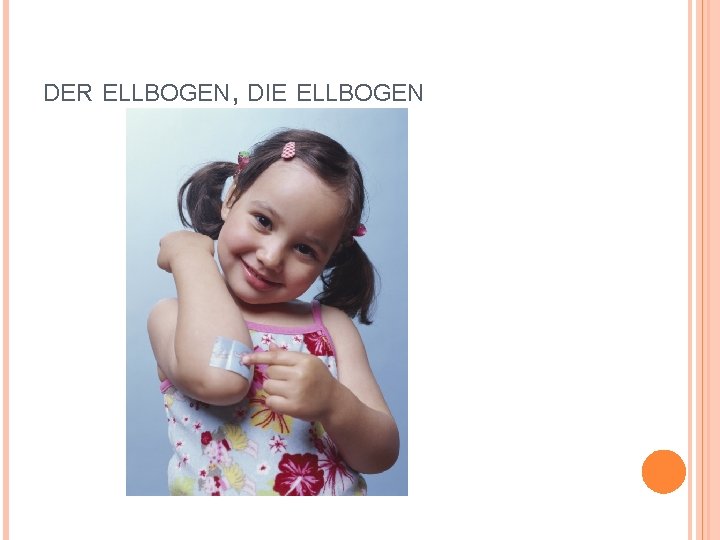 DER ELLBOGEN, DIE ELLBOGEN 