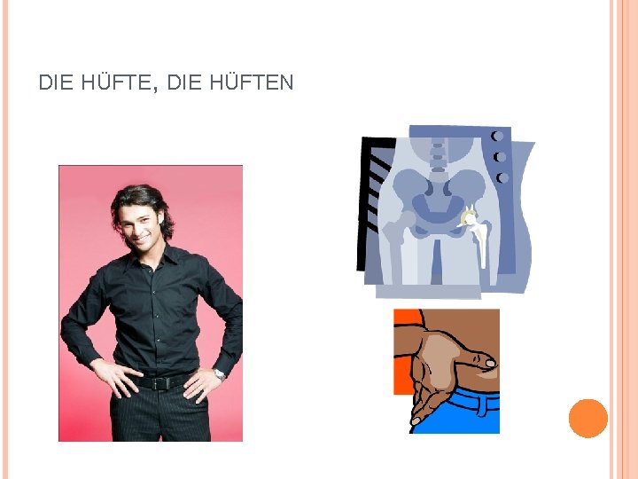 DIE HÜFTE, DIE HÜFTEN 