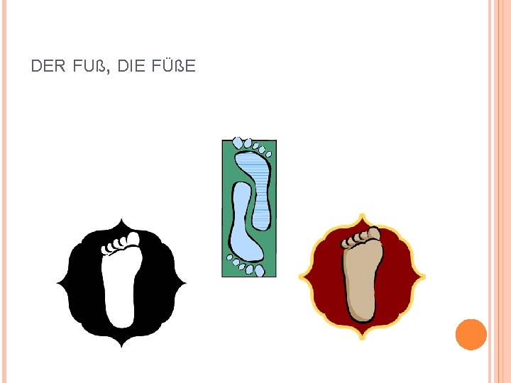 DER FUß, DIE FÜßE 