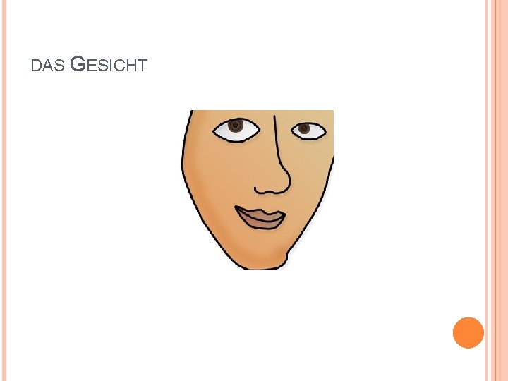 DAS GESICHT 