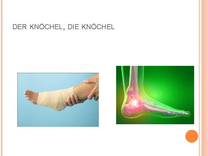 DER KNÖCHEL, DIE KNÖCHEL 