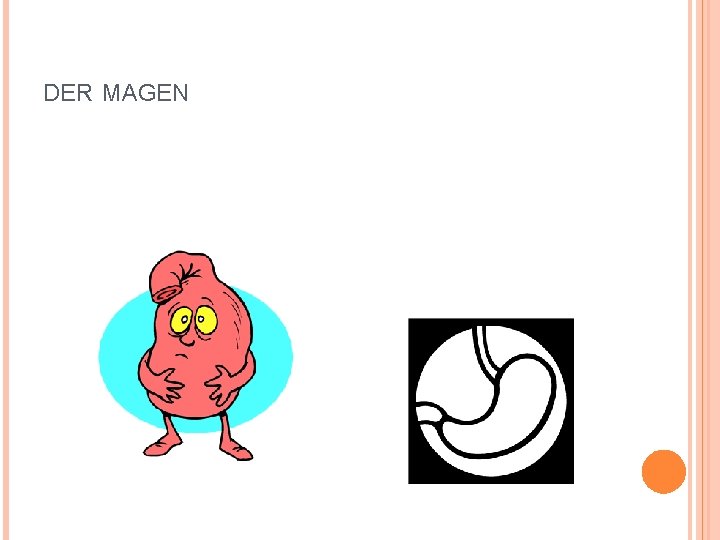 DER MAGEN 