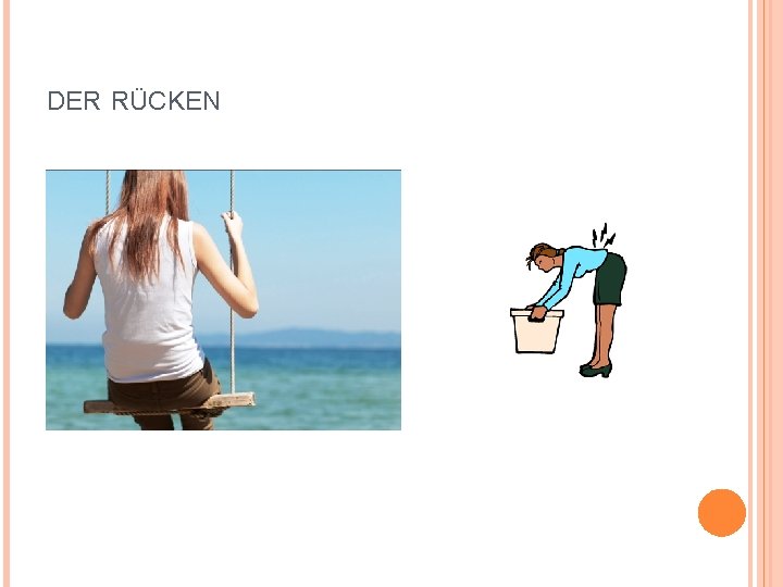 DER RÜCKEN 