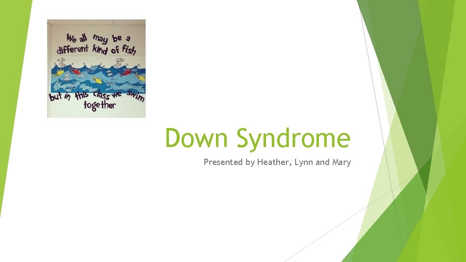 Down Syndrome Presented by Heather, Lynn and Mary 