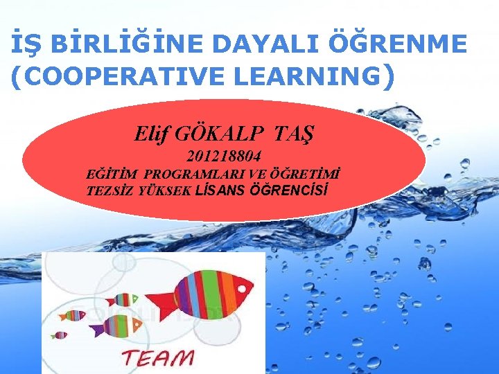 İŞ BİRLİĞİNE DAYALI ÖĞRENME (COOPERATIVE LEARNING) Elif GÖKALP TAŞ 201218804 LİSANS ÖĞRENCİSİ EĞİTİM PROGRAMLARI