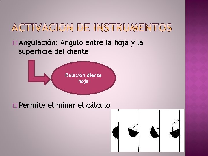 � Angulación: Angulo entre la hoja y la superficie del diente Relación diente hoja