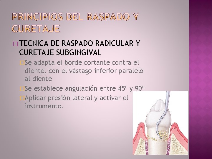 � TECNICA DE RASPADO RADICULAR Y CURETAJE SUBGINGIVAL �Se adapta el borde cortante contra