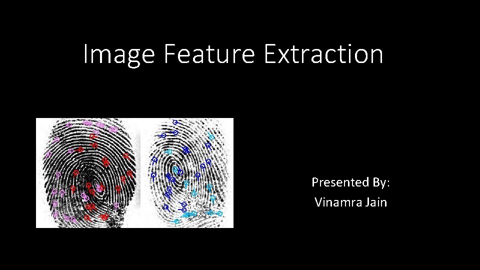 Image Feature Extraction Presented By: Vinamra Jain 