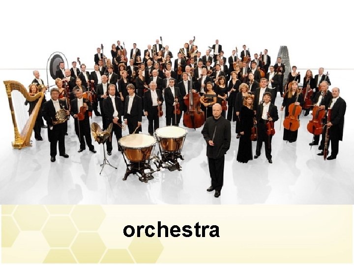 orchestra 