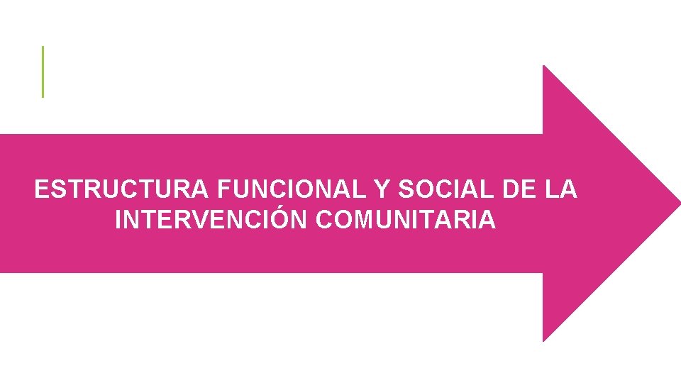 ESTRUCTURA FUNCIONAL Y SOCIAL DE LA INTERVENCIÓN COMUNITARIA 