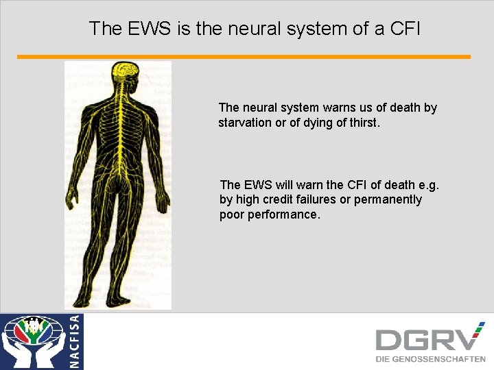 The EWS is the neural system of a CFI The neural system warns us