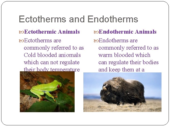 Ectotherms and Endotherms Ectothermic Animals Endothermic Animals Ectotherms are Endotherms are commonly referred to