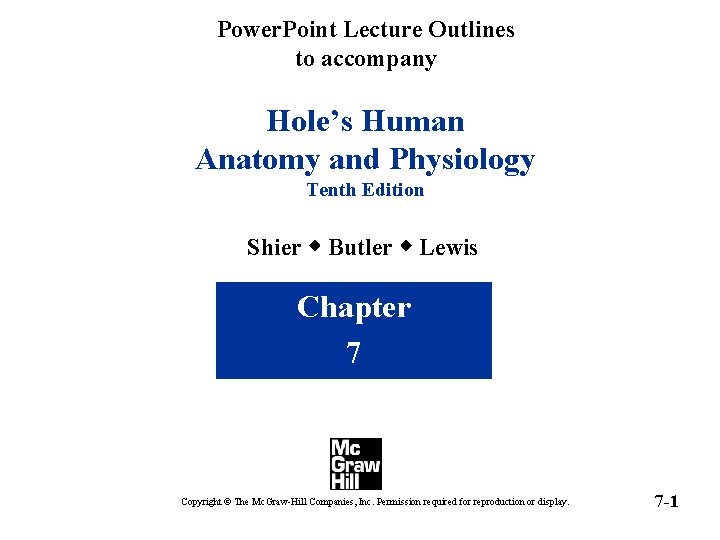 Power. Point Lecture Outlines to accompany Hole’s Human Anatomy and Physiology Tenth Edition Shier