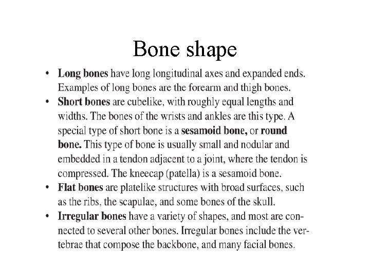 Bone shape 