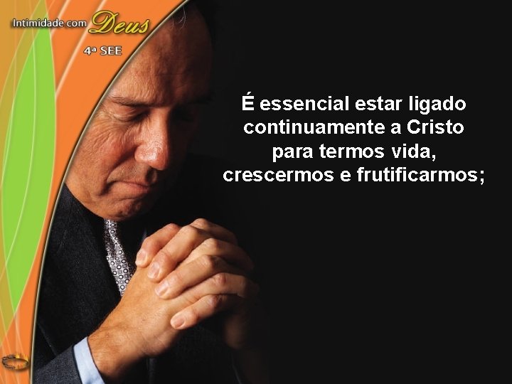 É essencial estar ligado continuamente a Cristo para termos vida, crescermos e frutificarmos; 