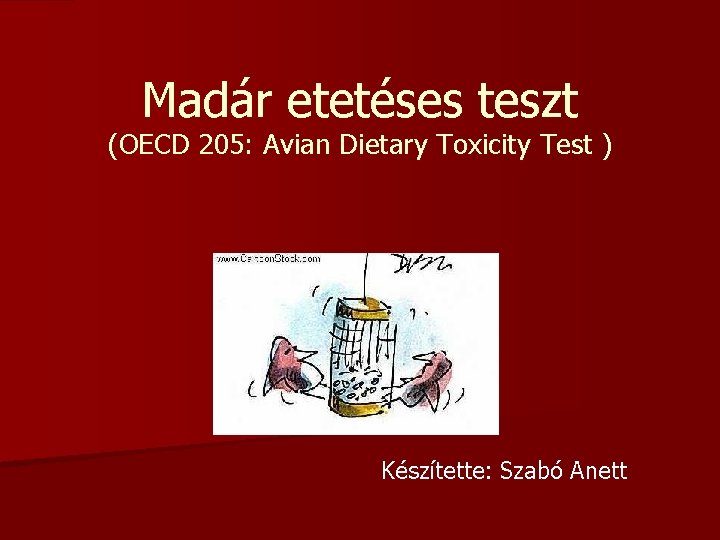 Madár etetéses teszt (OECD 205: Avian Dietary Toxicity Test ) Készítette: Szabó Anett 