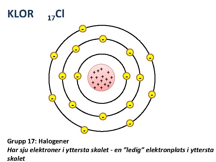 KLOR 17 Cl - - + ++ + + +++ + + - -