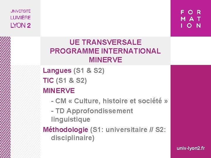 UE TRANSVERSALE PROGRAMME INTERNATIONAL MINERVE Langues (S 1 & S 2) TIC (S 1