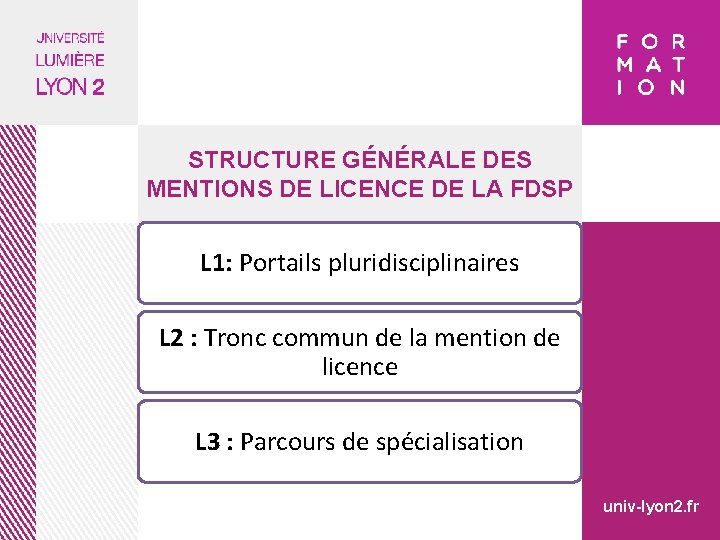 STRUCTURE GÉNÉRALE DES MENTIONS DE LICENCE DE LA FDSP L 1: Portails pluridisciplinaires L