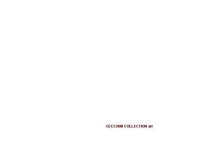CECCHINI COLLECTION srl 