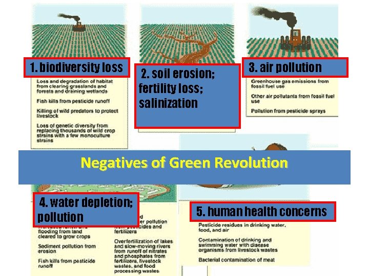 1. biodiversity loss 2. soil erosion; fertility loss; salinization 3. air pollution Negatives of
