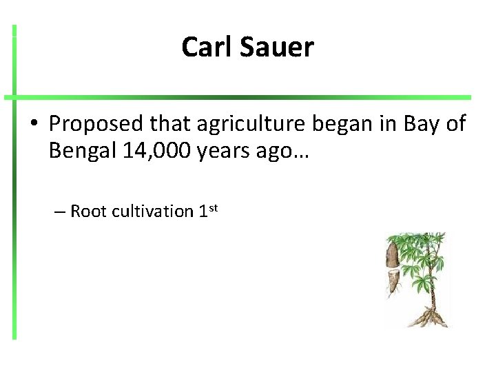 Carl Sauer • Proposed that agriculture began in Bay of Bengal 14, 000 years