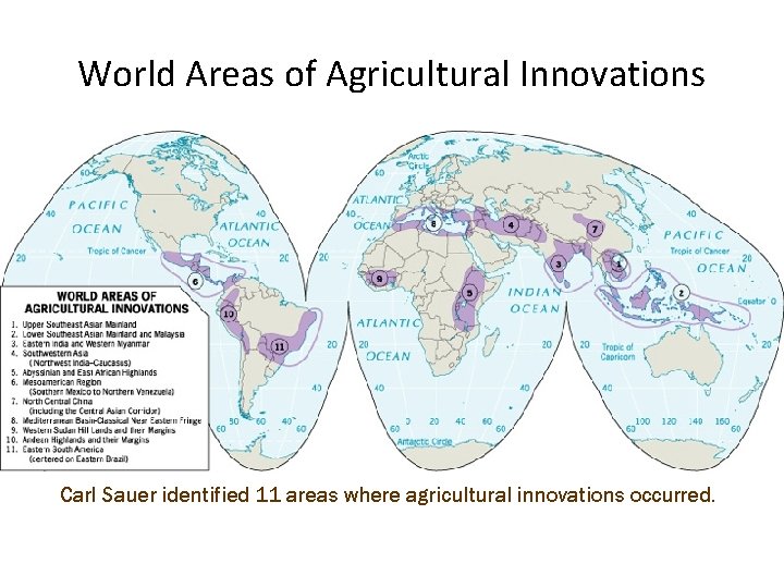 World Areas of Agricultural Innovations Carl Sauer identified 11 areas where agricultural innovations occurred.