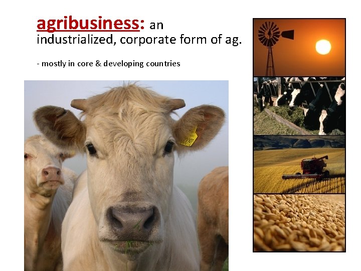 agribusiness: an industrialized, corporate form of ag. - mostly in core & developing countries