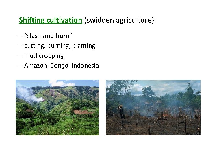 Shifting cultivation (swidden agriculture): – – “slash-and-burn” cutting, burning, planting mutlicropping Amazon, Congo, Indonesia