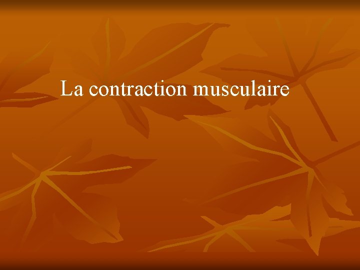 La contraction musculaire 