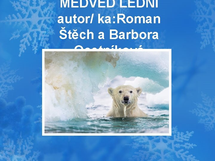 MEDVĚD LEDNÍ autor/ ka: Roman Štěch a Barbora Ocetníková 