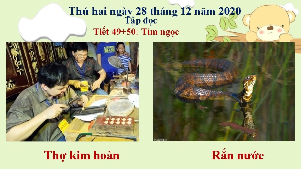 Thứ hai ngày 28 tháng 12 năm 2020 Tập đọc Tiết 49+50: Tìm ngọc