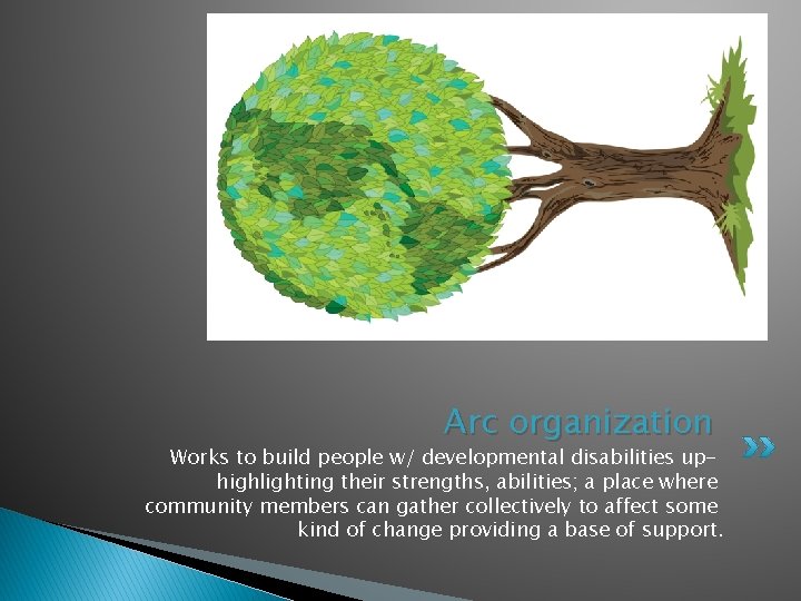 Arc organization Works to build people w/ developmental disabilities uphighlighting their strengths, abilities; a